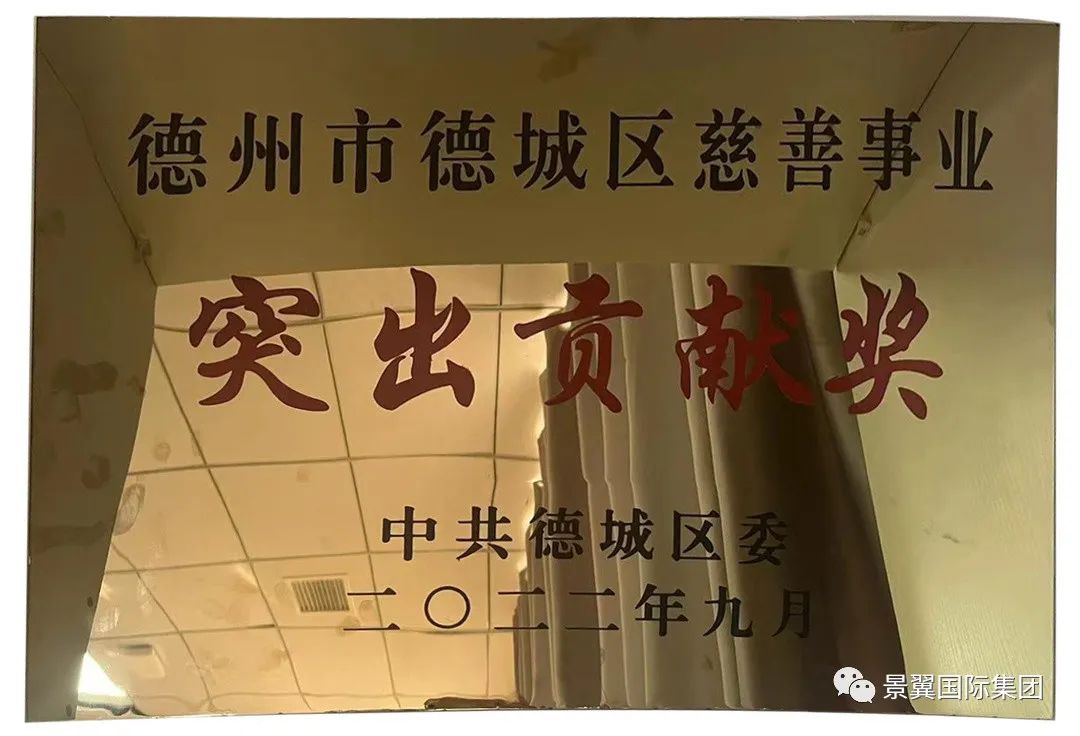 聚合慈善力量 共筑温暖德城｜意大利贵宾会集团荣获“德城区慈善事业突出贡献奖”